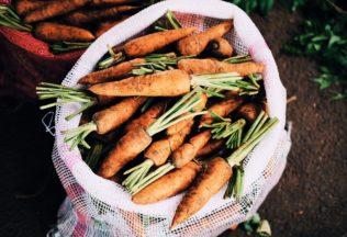 NEWS: Aussie farmers reduce waste with carrot vodka